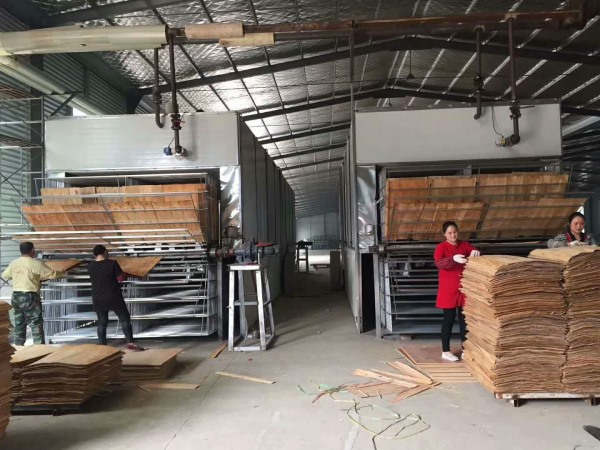 桉木旋切板烘干機(jī)